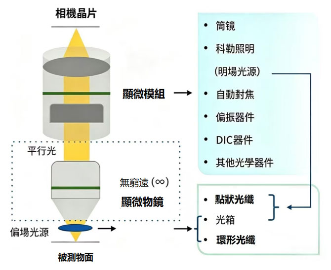 顯微成像系統示意圖